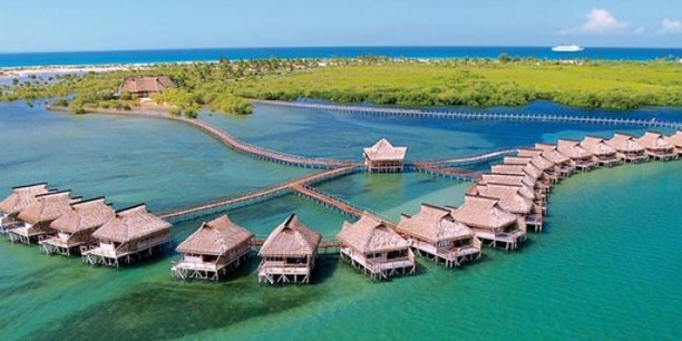 La meilleure destination pour Honeyteering - Mozambique