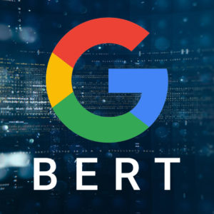 Google BERT