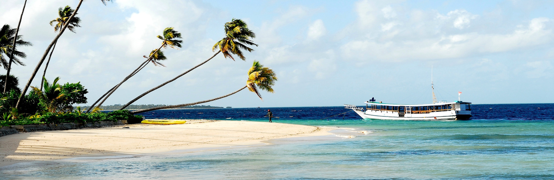 Que faire à Sulawesi