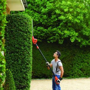 comment Tailler une haie de jardin correctement ?