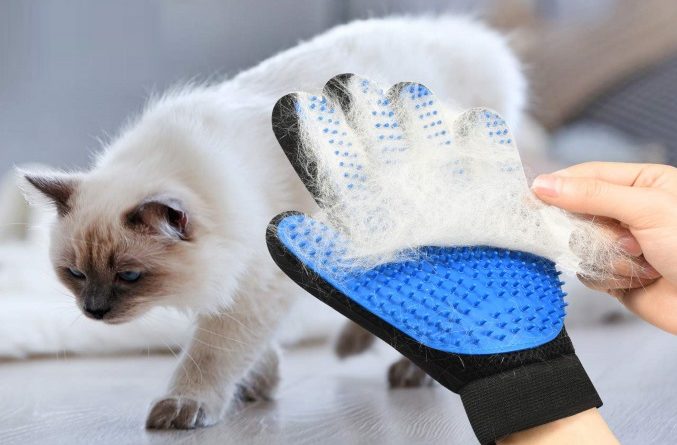 gants en caoutchouc pour nettoyer les poils d'animaux