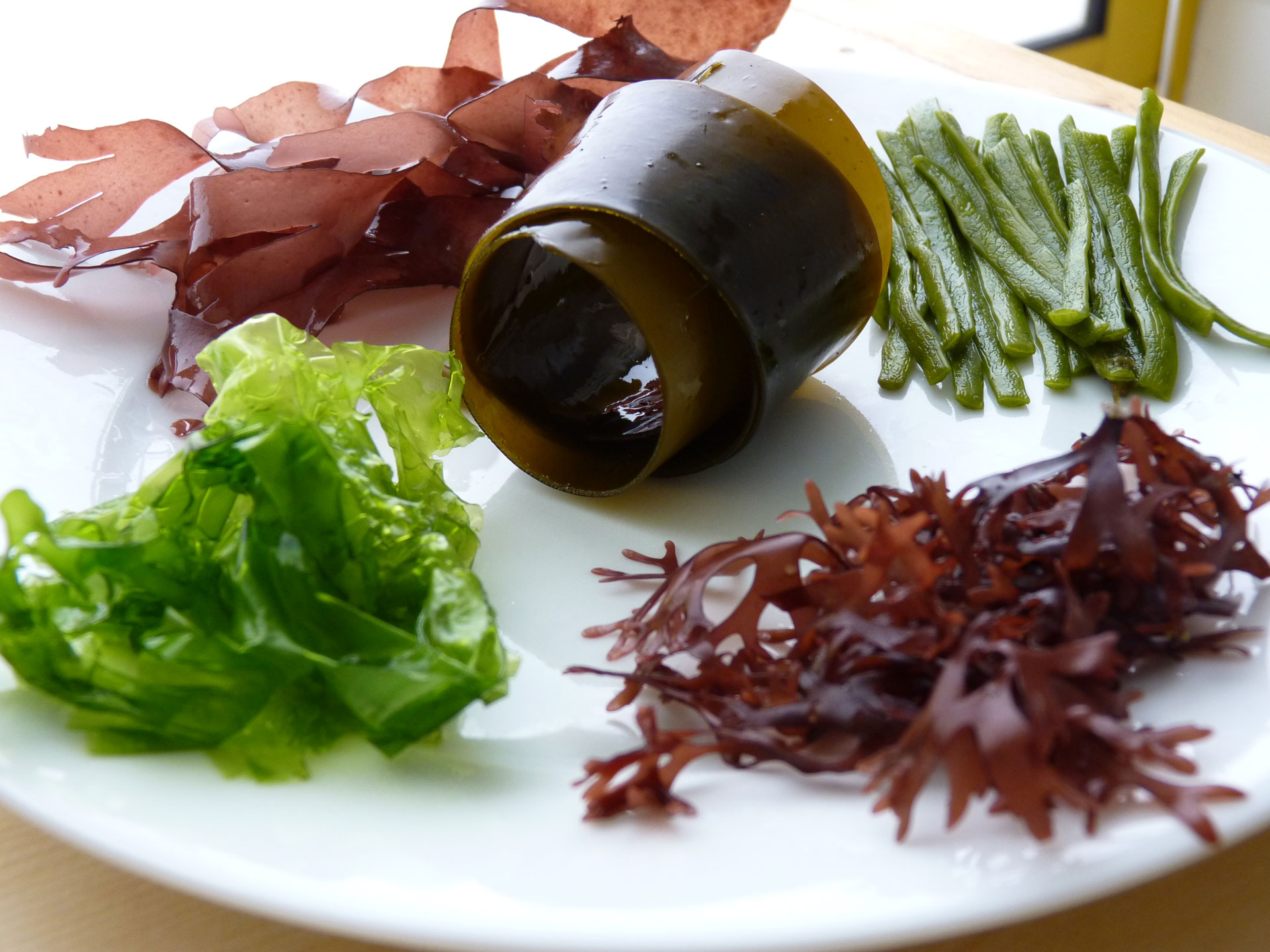 Les Algues Comment les consommer et quels sont ces bienfaits Les Algues Comment les consommer et quels sont ces bienfaits