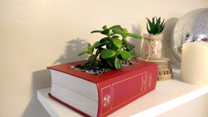 faire de vases DIY avec des livres