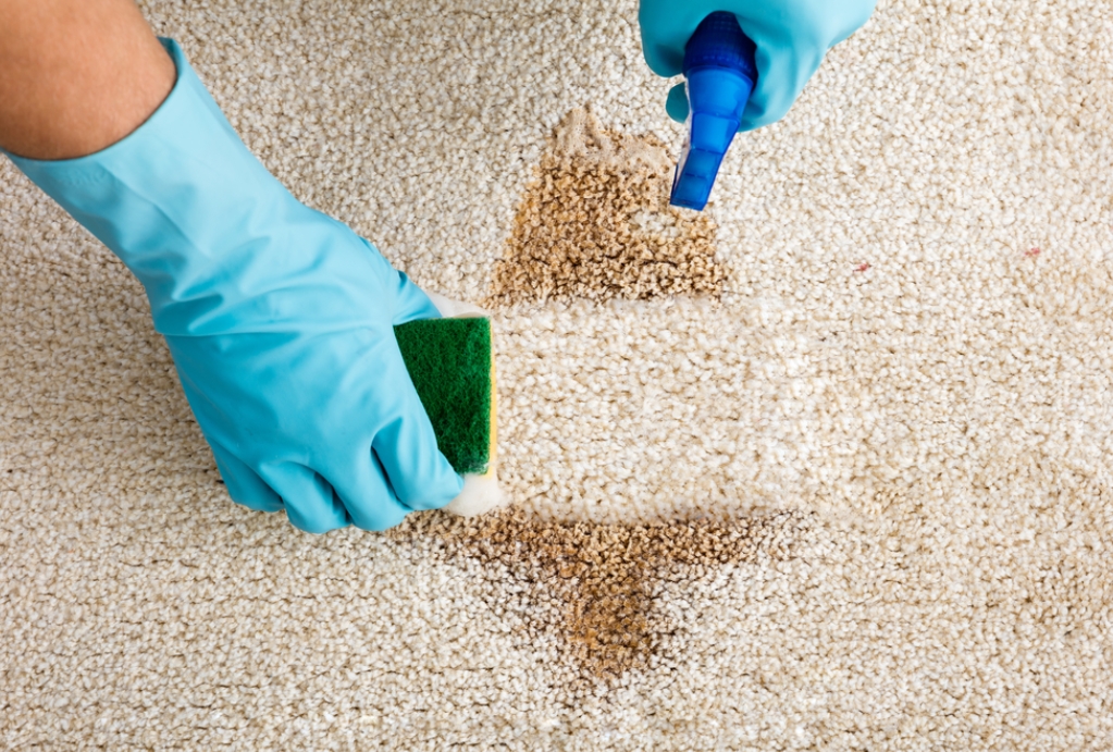 Comment nettoyer les tapis avec des remèdes naturels