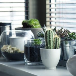 comment faire de vases DIY soi même