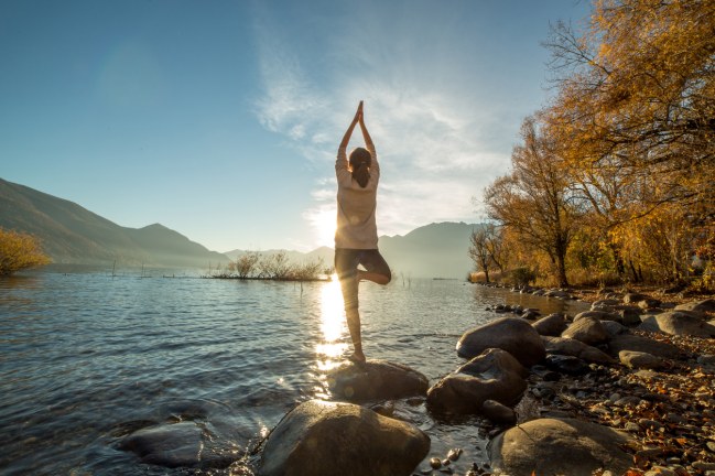 Position de l'arbre : Développer sa concentration pas à pas avec le yoga