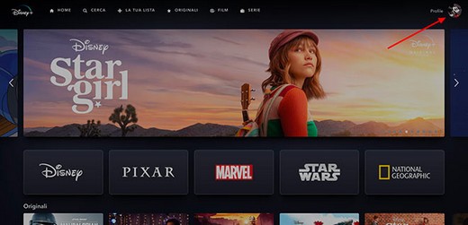 partager Disney + avec votre famille