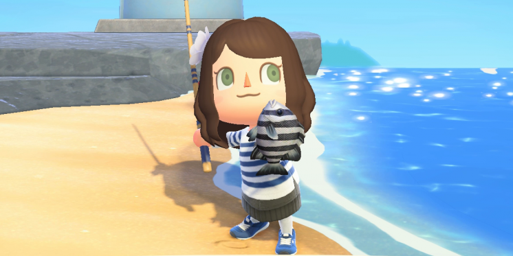 Animal Crossing: New Horizons: Emplacements de tous les poissons et insectes en mai