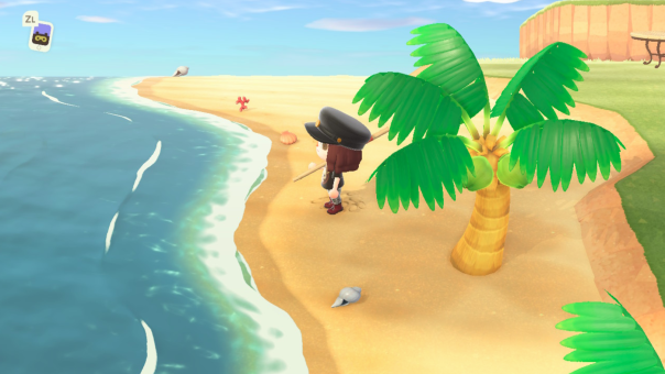 Cherchez les messages dans la bouteille