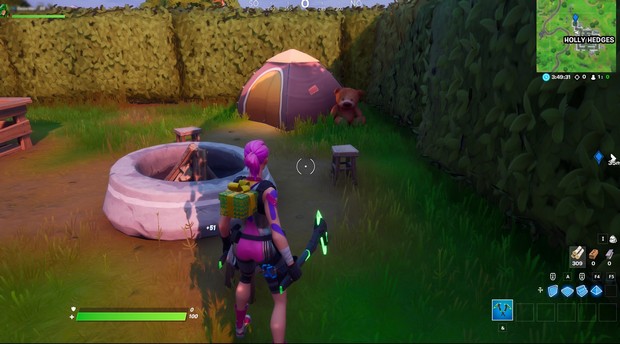 Jardin de la maison du nord-ouest