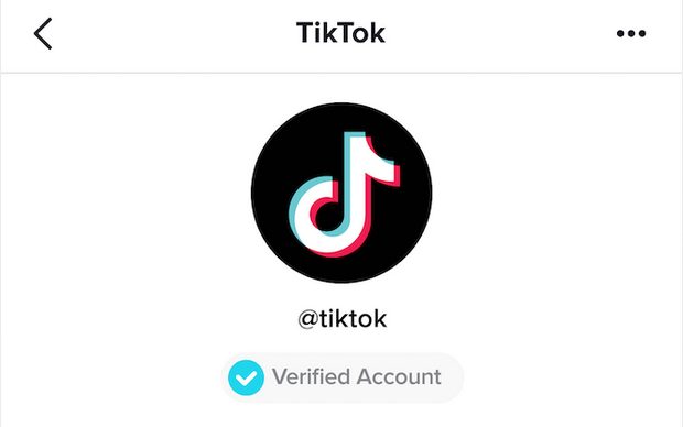 Comment obtenir un badge vérifié sur Tik Tok