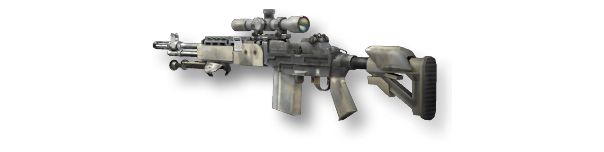 M21 EBR