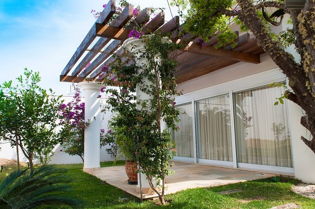 Décorer votre pergola avec des plantes grimpantes