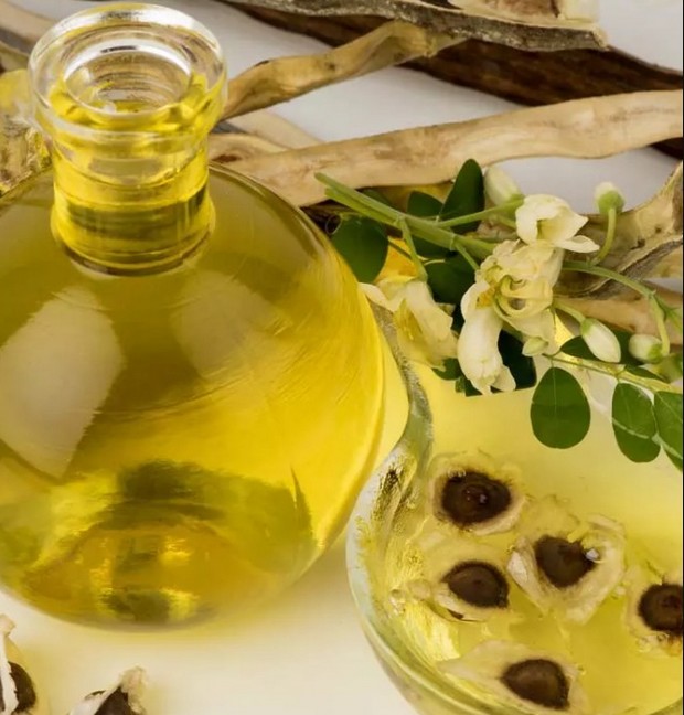 Le moringa et ses bienfaits sur les cheveux, la peau, et la santé