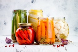 Aliments fermentés