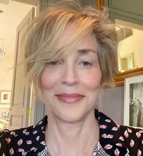 la nouvelle coupe, très courte, de Sharon Stone