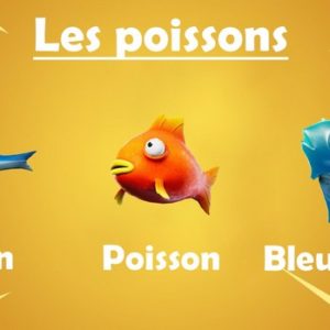attraper deux poissons différents pour terminer le défi de la semaine 3
