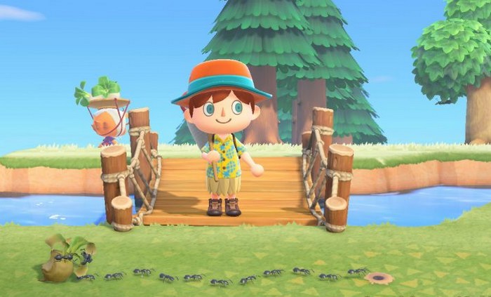 Déposez des bonbons pour attirer les fourmis