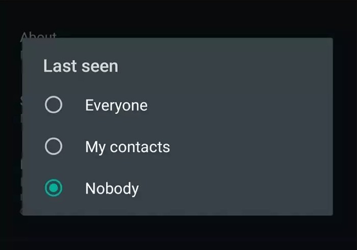 Vous pouvez également choisir de masquer " Dernière vue '' dans les paramètres WhatsApp