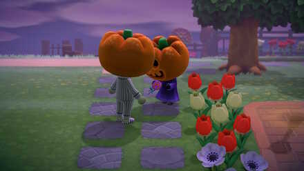 avoir des sucettes dans Animal Crossing New Horizons