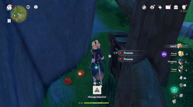 Des pommes dans un camp de monstres près de la Cité de Mondstadt