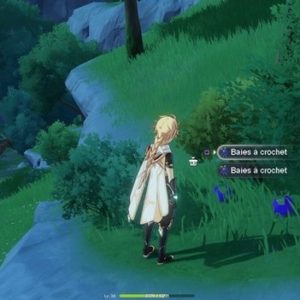 Emplacement Baie à crochet