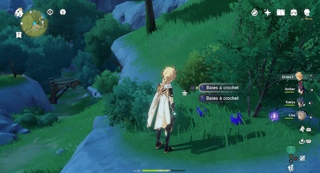 Emplacement Baie à crochet