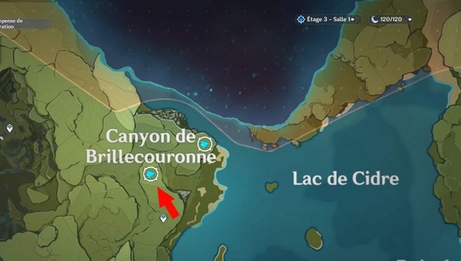 emplacement 1 Mage électro luciole dans Genshin Impact