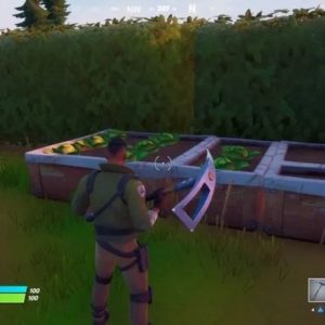 Voilà à quoi resemble une nouriture rammasée sur le terrain sur fortnite.