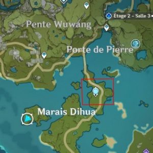 emplacement des grenouilles genshin impact