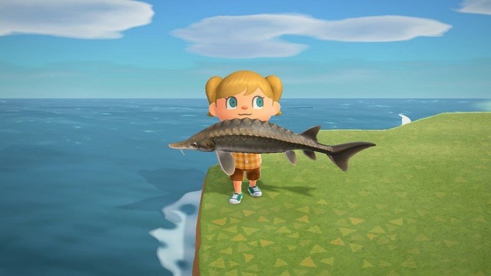 Liste Poissons du mois de janvier dans Animal Crossing New Horizons hémisphère nord et sud