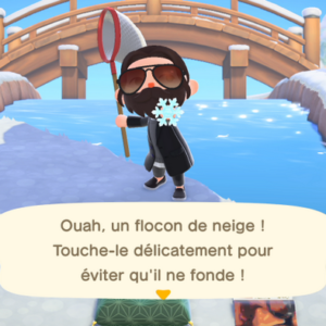 RÉCOLTER DES FLOCONS DE NEIGE