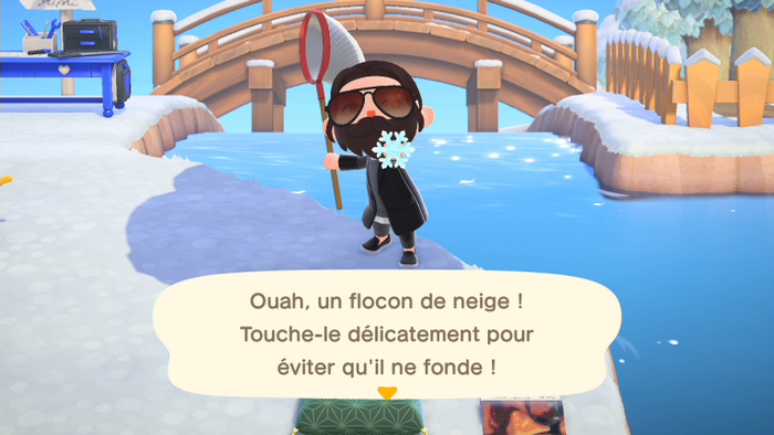 RÉCOLTER DES FLOCONS DE NEIGE