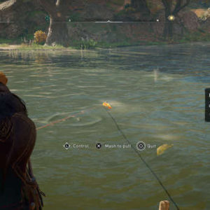 Comment pêcher le Truite brune dans Assassin's Creed Valhalla ?