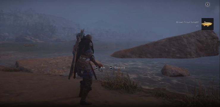 Où peut-on pêcher des truites brunes dans Assassin's Creed Valhalla ?