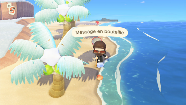 bouteilles au bord de la mer animal crossing new Horizons