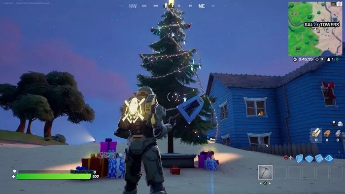 Emplacement sapins de Noël à Salty Towers