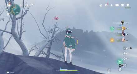 emplacement Agate pourpre 15