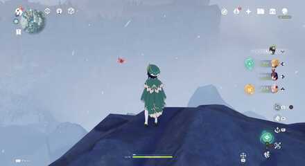 emplacement Agate pourpre 17