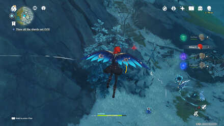 emplacement Agate pourpre 33