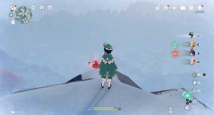 emplacement Agate pourpre 6