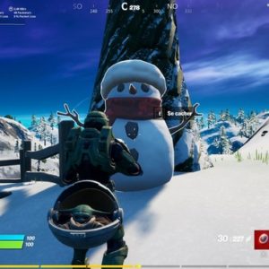 Où sont les Neigionnaires furtifs dans Fortnite ?