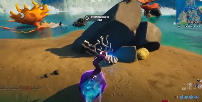 Premier coquillage blanc