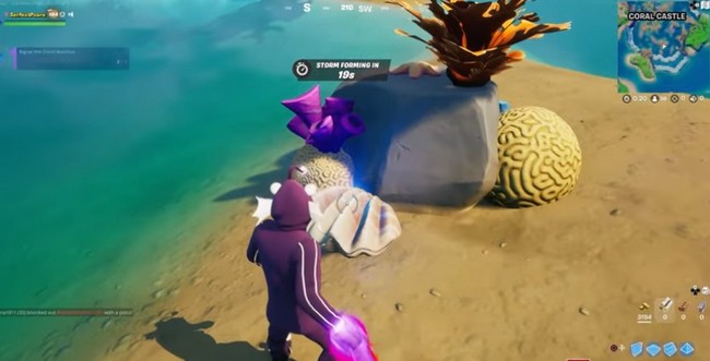 Second coquillage blanc