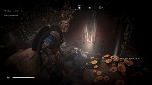 Symboles maudits de Ledecestrescire AC valhalla