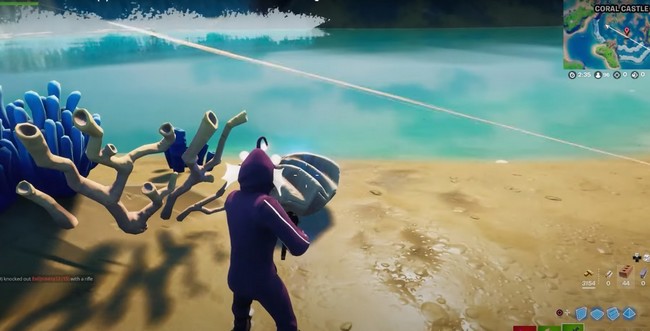 Troisième coquillage blanc