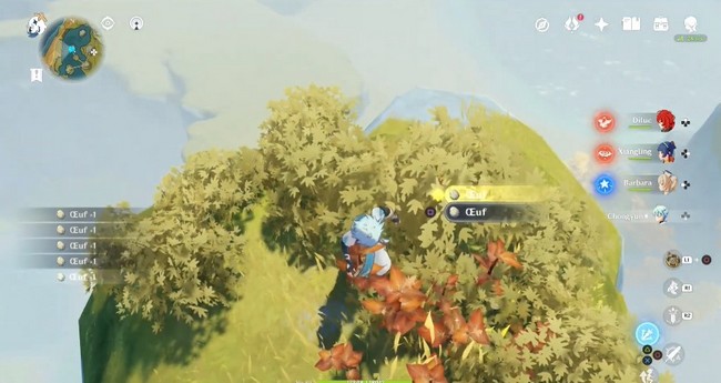 comment obtenir des oeufs dans genshin impact