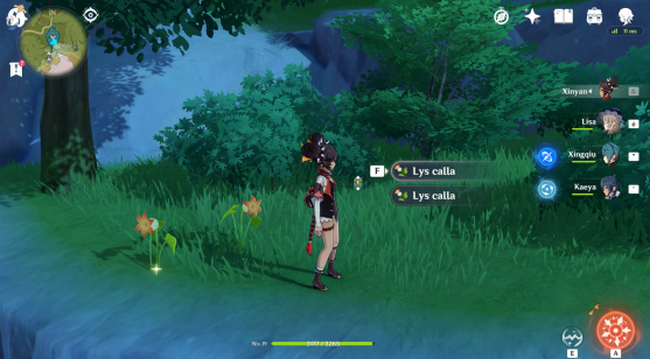 ou trouver Lys calla 