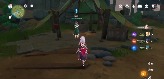 Genshin Impact parlez avec Iris