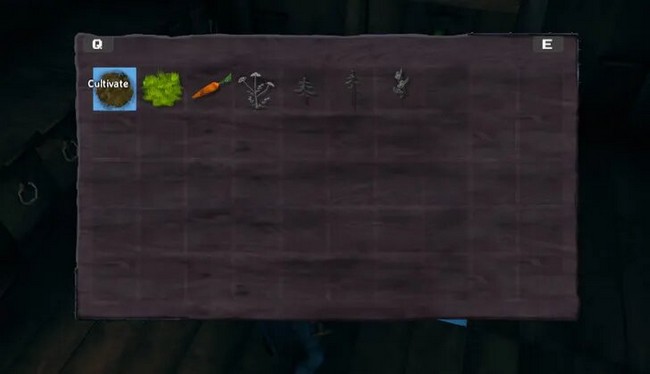 Comment planter des graines